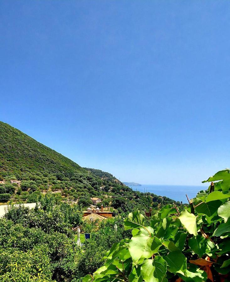 La Casa sul Blu Albergo Diffuso Pisciotta Exterior foto