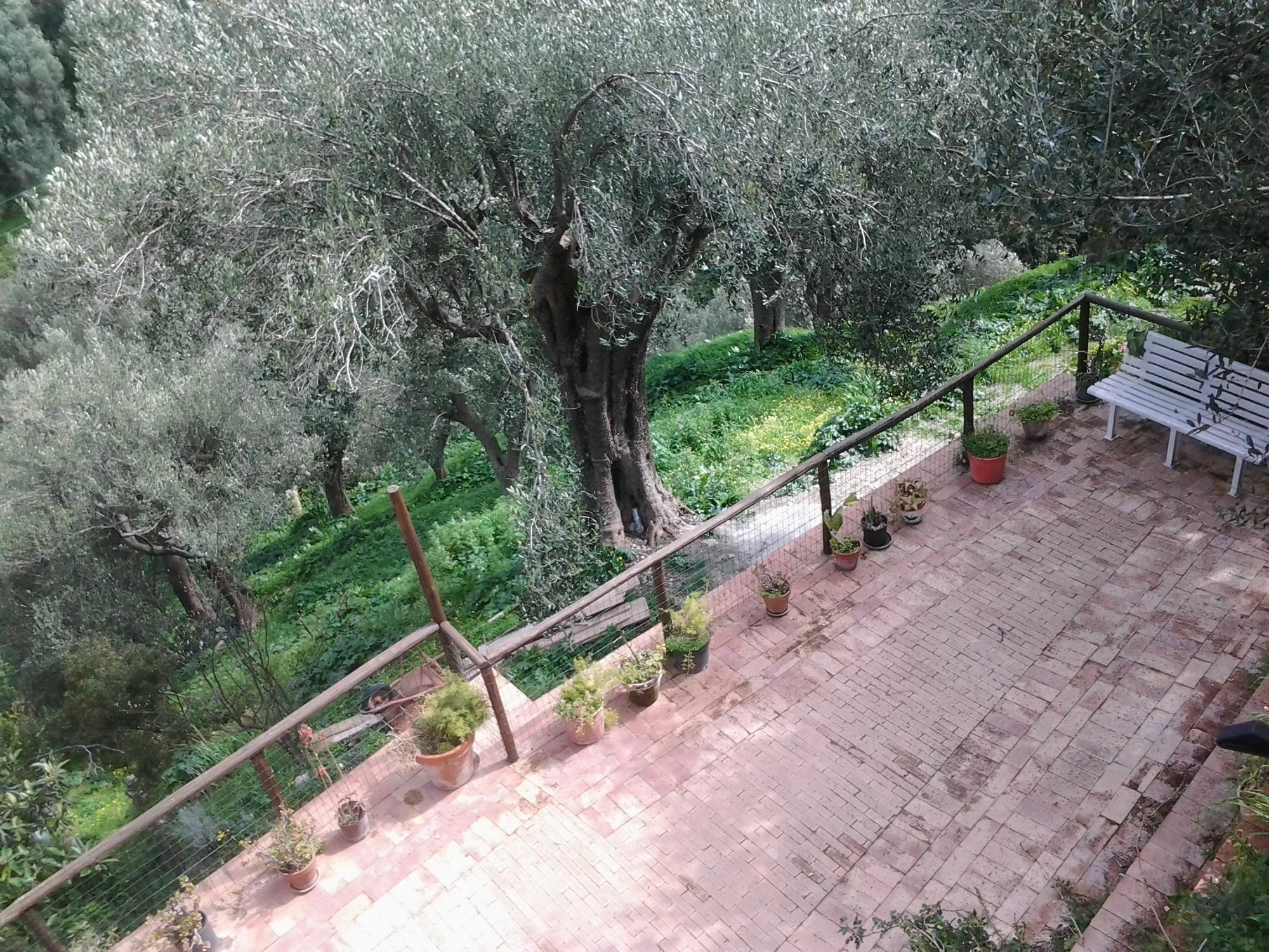 La Casa sul Blu Albergo Diffuso Pisciotta Exterior foto